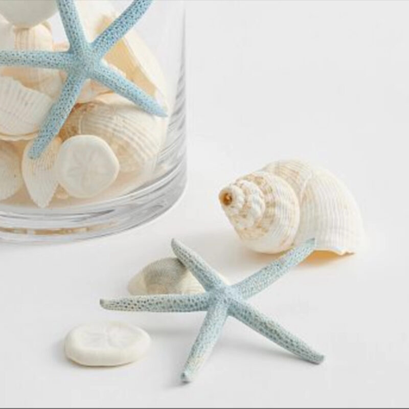 Blue & White Mixed Shell Vase Filler