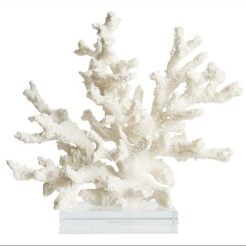 Branching Coral With Clear Glass Base