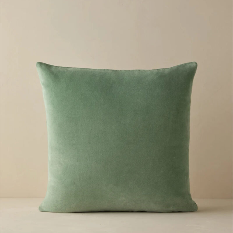Charlotte Velvet Pillow