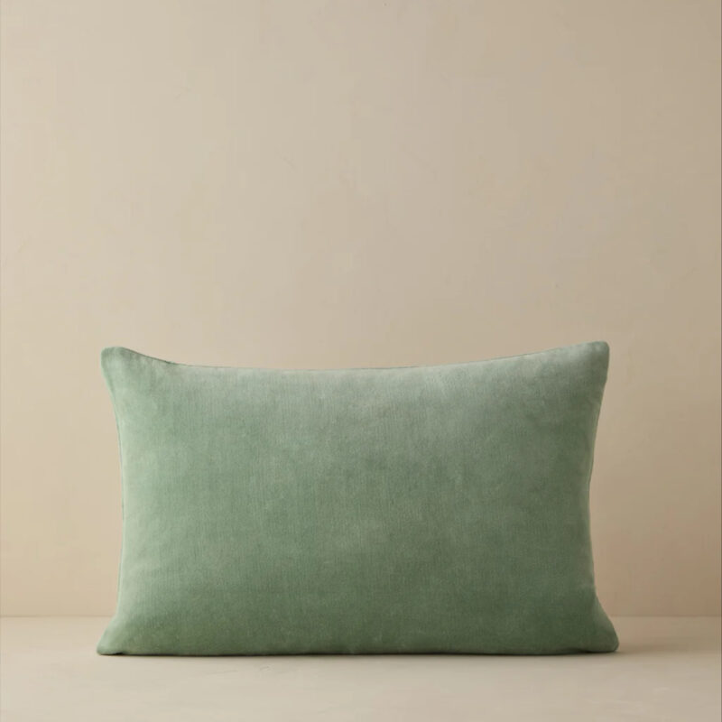 Charlotte Velvet Pillow