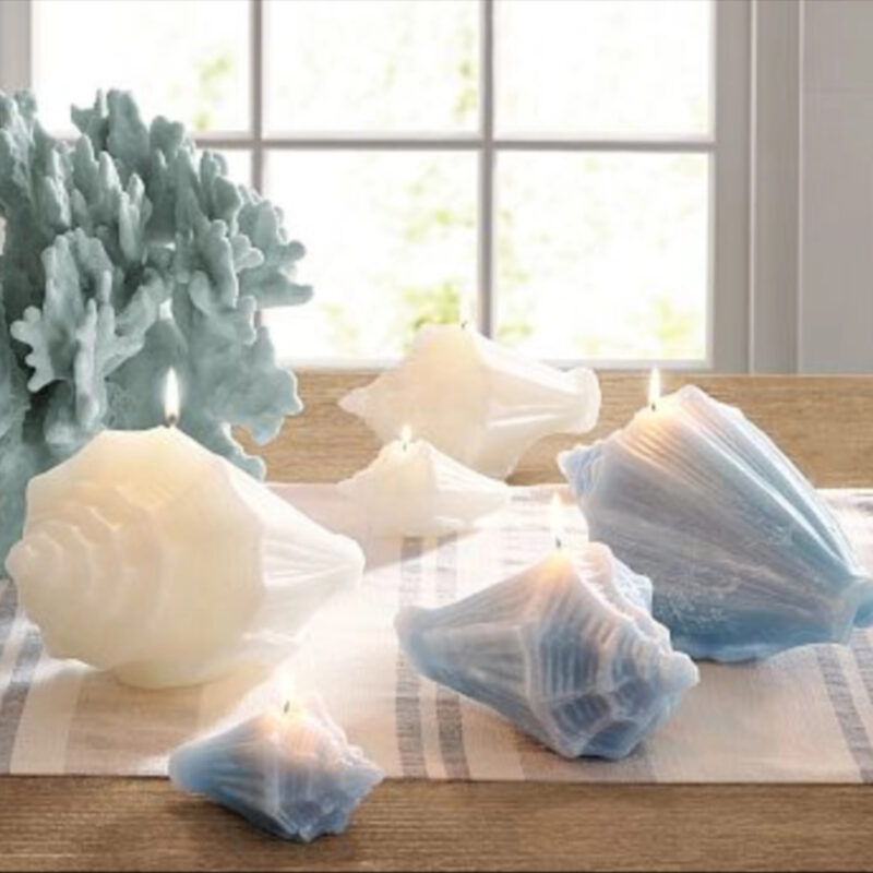 Conch Shell Candle