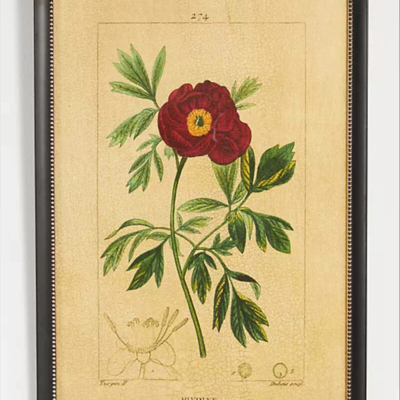 Anthropologie Crackled Flower Wall Art