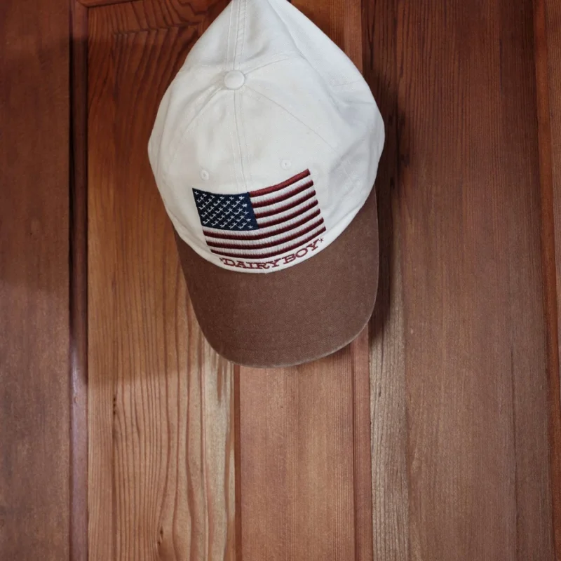 Flag Stamp Baseball Hat - Brown — Dairy Boy