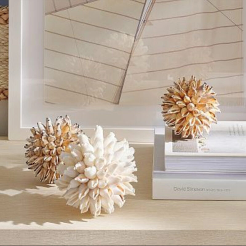 Decorative Shell Ball