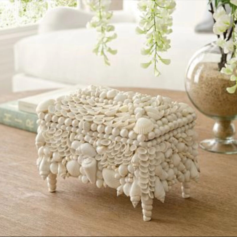 Decorative Shell Box