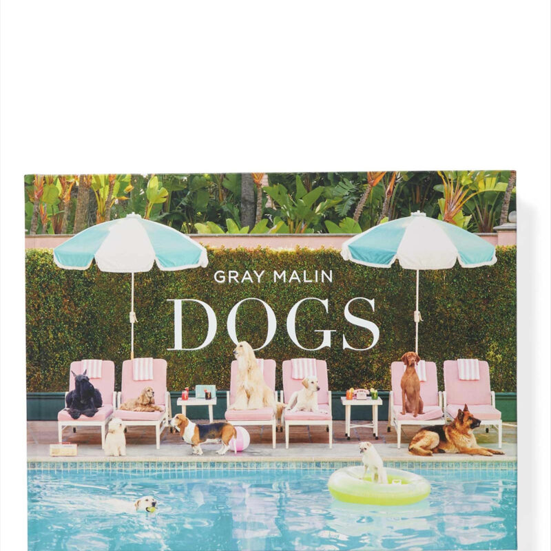 Serena & Lily Dogs by Gray Malin