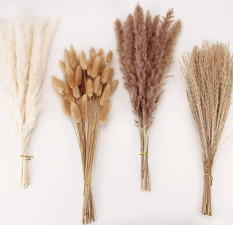Dried Pampas Grass Decor, 100 Stems Pampas Grass Contains Bunny Tails Dried Flowers, Reed Grass B...
