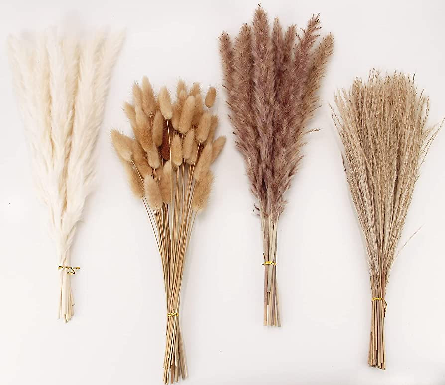 Dried Pampas Grass Decor, 100 Stems Pampas Grass Contains Bunny Tails Dried Flowers, Reed Grass B...