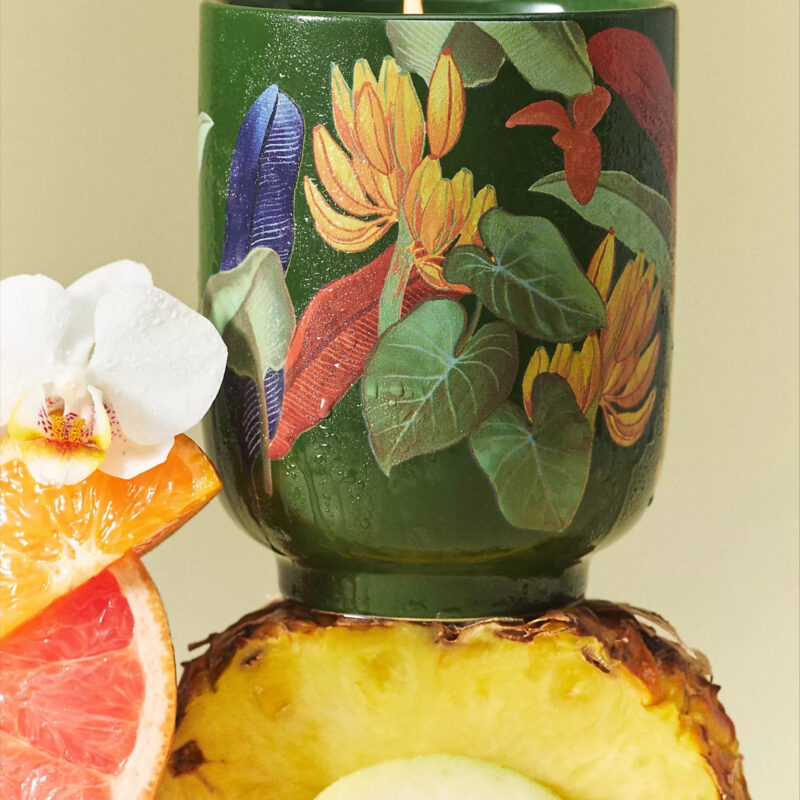 Farm Rio x Anthropologie Fruity Hibiscus & Pink Guava Ceramic Candle
