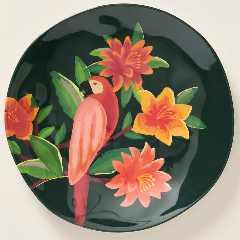 Farm Rio x Anthropologie Melamine Dessert Plates, Set of 4