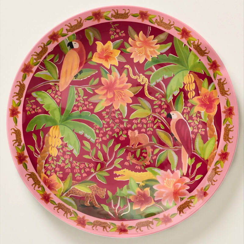 Farm Rio x Anthropologie Melamine Dinner Plates, Set of 4