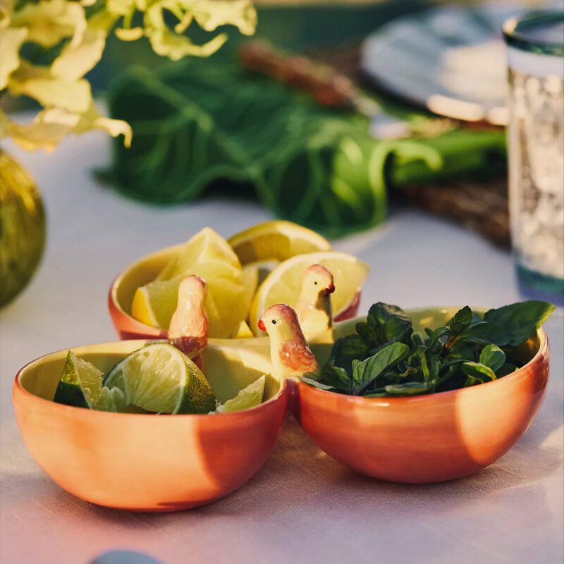 Farm Rio x Anthropologie Stoneware Tri-Bowl