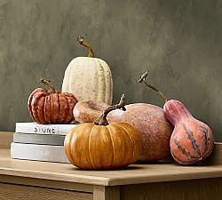 Faux Pumpkins & Gourds - Set of 5
