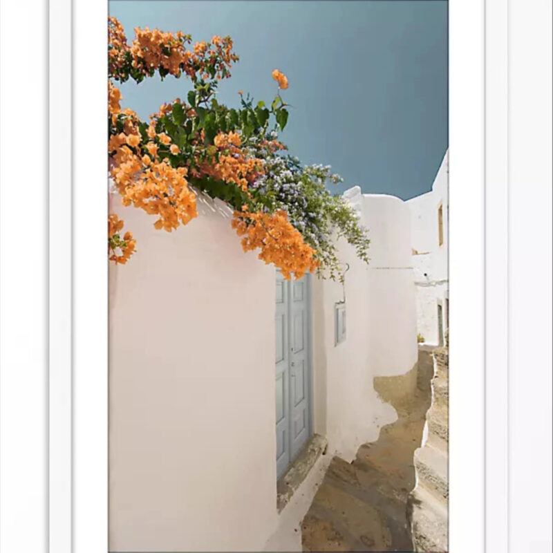 Anthropologie Flowered Alley Wall Art