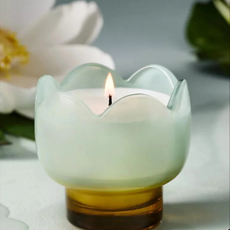 Fresh Wisteria & Willow Glass Candle