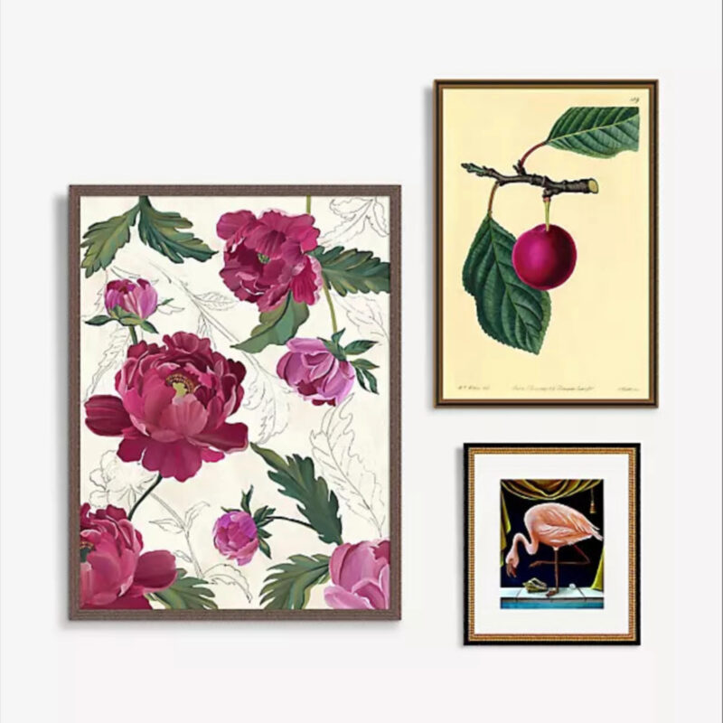 Anthropologie Fuchsia Botanicals Gallery Wall Art