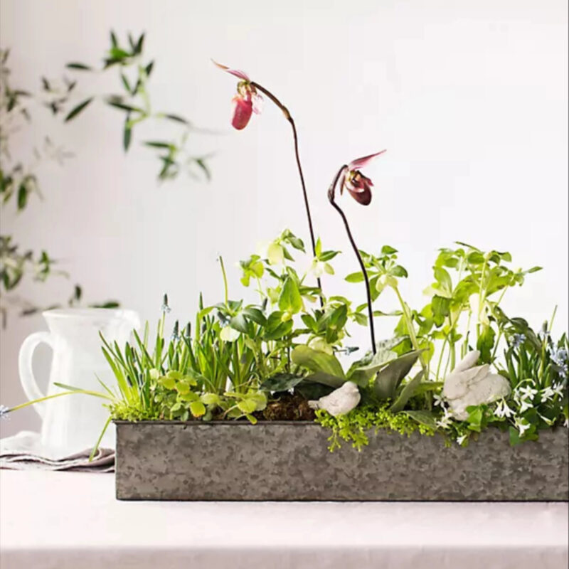 Habit Form Rectangle Trough, Medium in Black, Size: 36" at Terrain