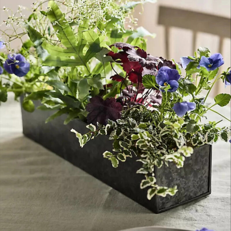 Habit Form Rectangle Trough, Small in Silver, Size: 18" at Terrain