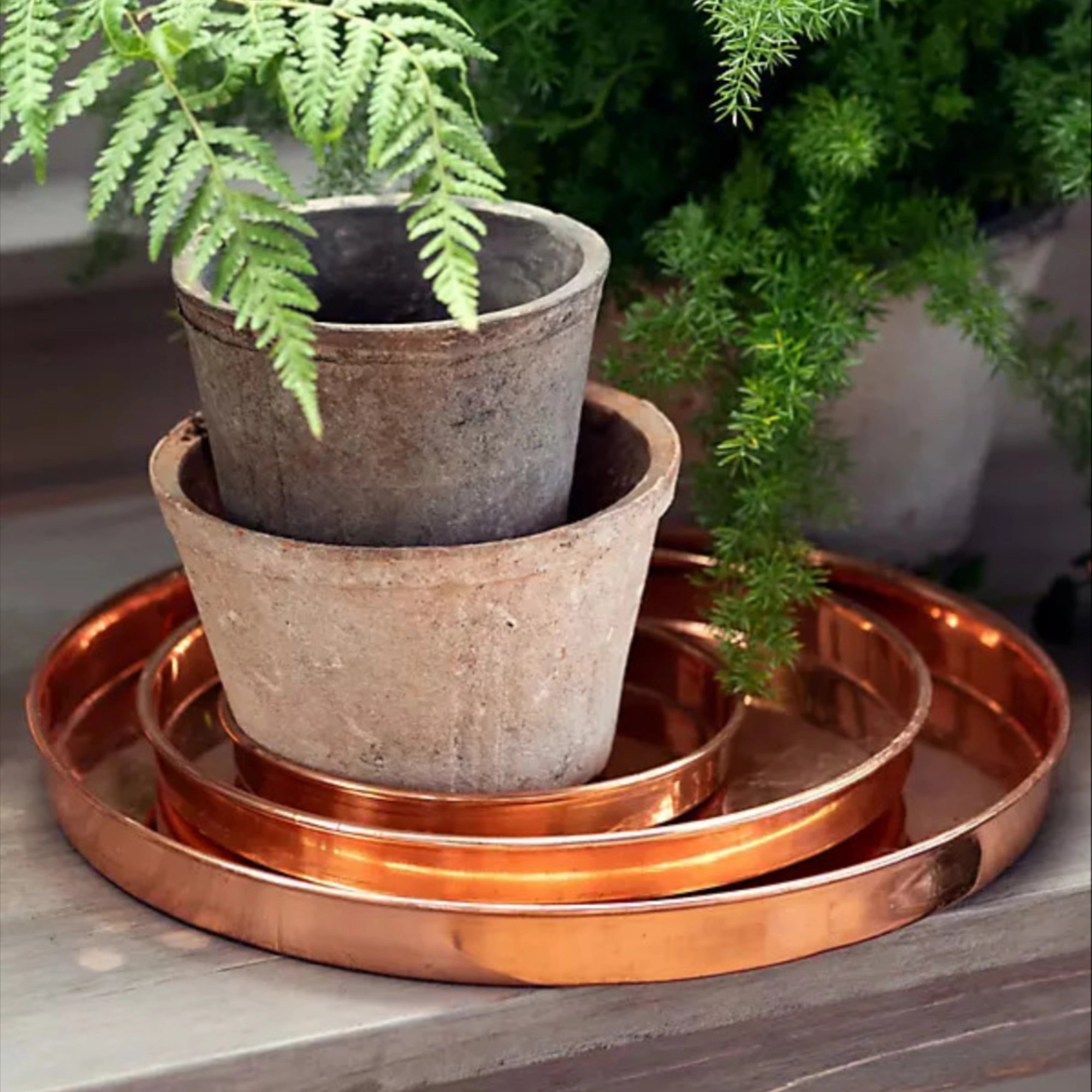 Habit Form Solid Copper Circle Tray in Brown, Size: 6" at Terrain