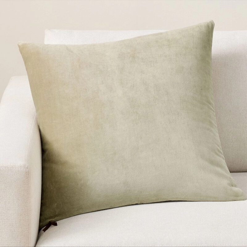 Icon Velvet Pillow