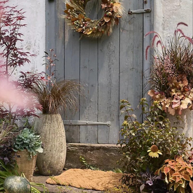 La Hora Dorada Preserved Wreath at Terrain
