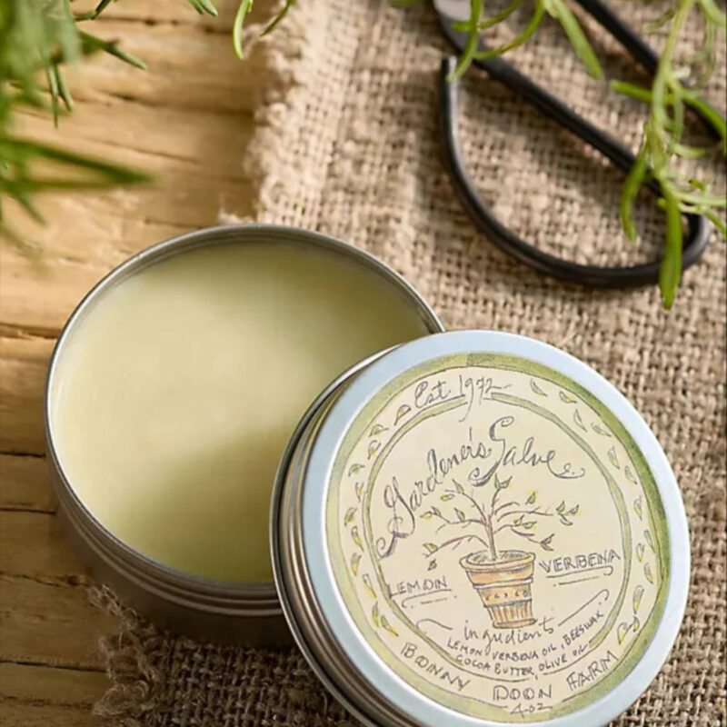 Lemon Verbena Gardener's Salve at Terrain