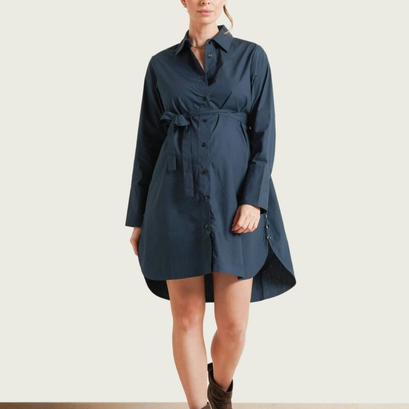 Weekday Maternity & Nursing Button-Down Dress