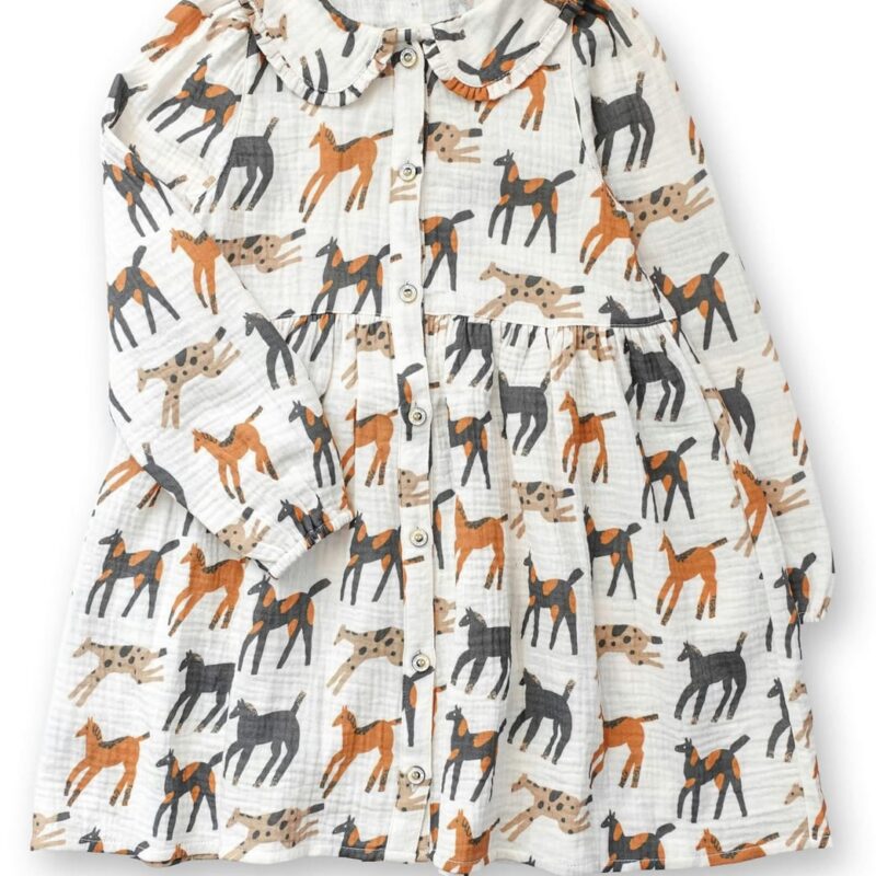Giddy-Up Dolly Shirt Dress