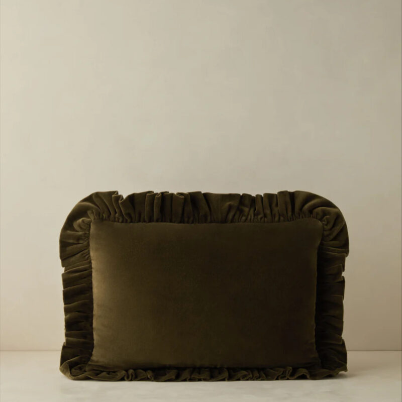 Mauree Velvet Pillow