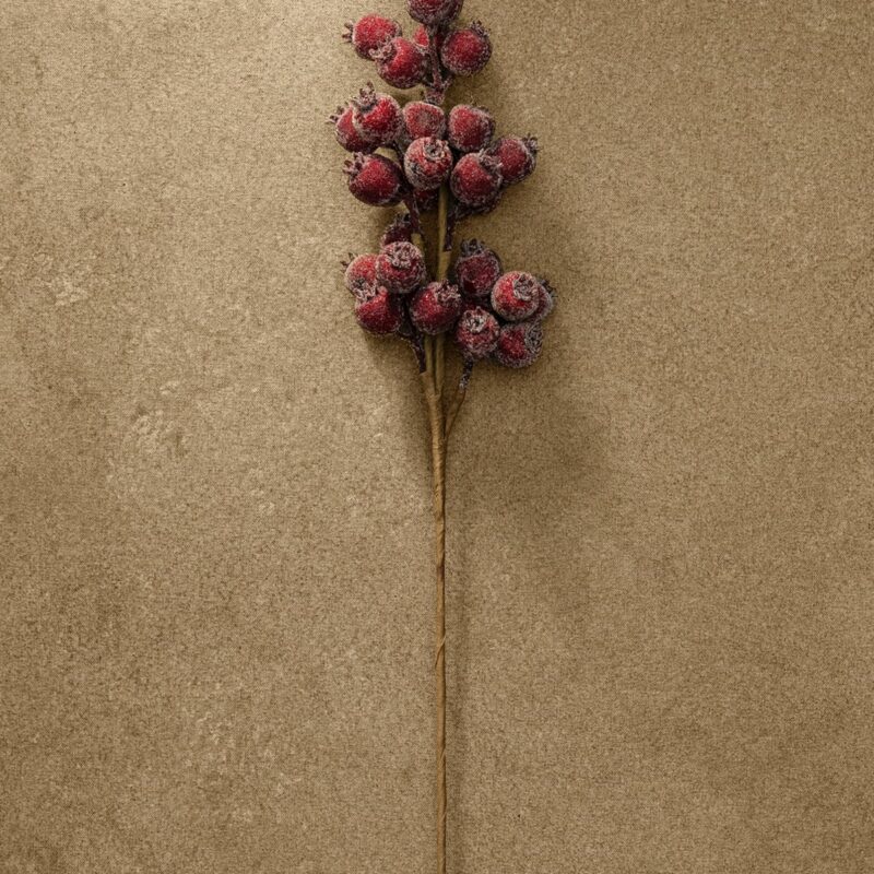 21" Iced Burgundy Berry Pod Spray