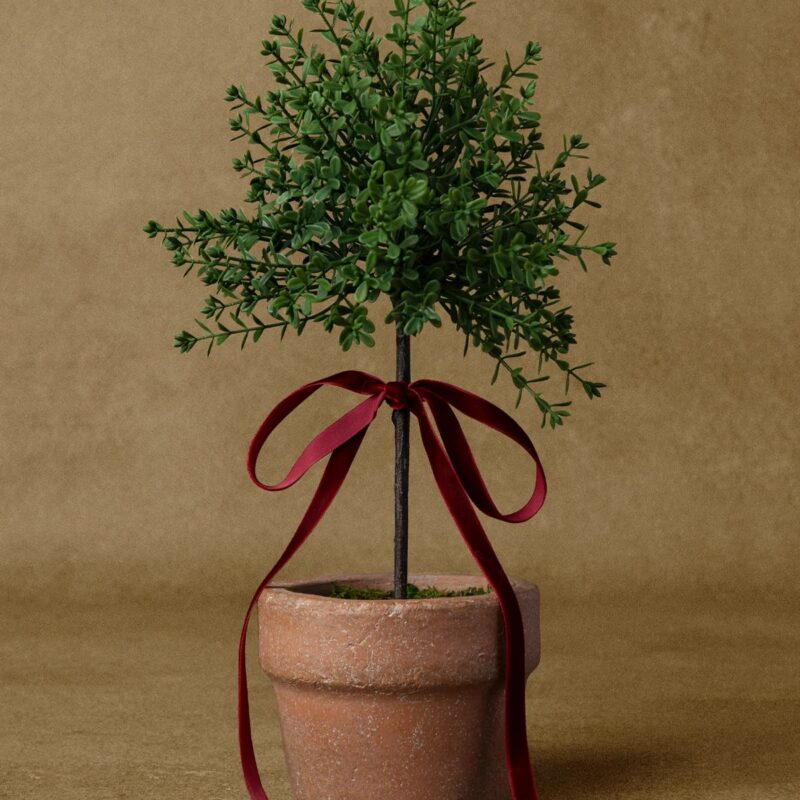 Myrtle Topiary with Red Bow