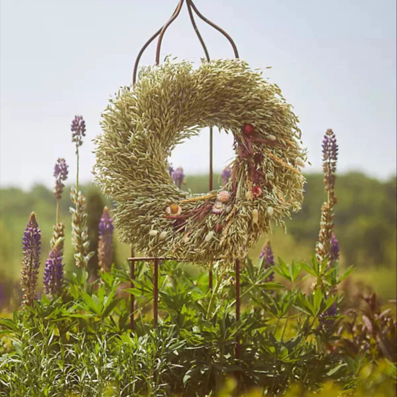 Meadow + Bloom Wreath, Size: 22" at Terrain