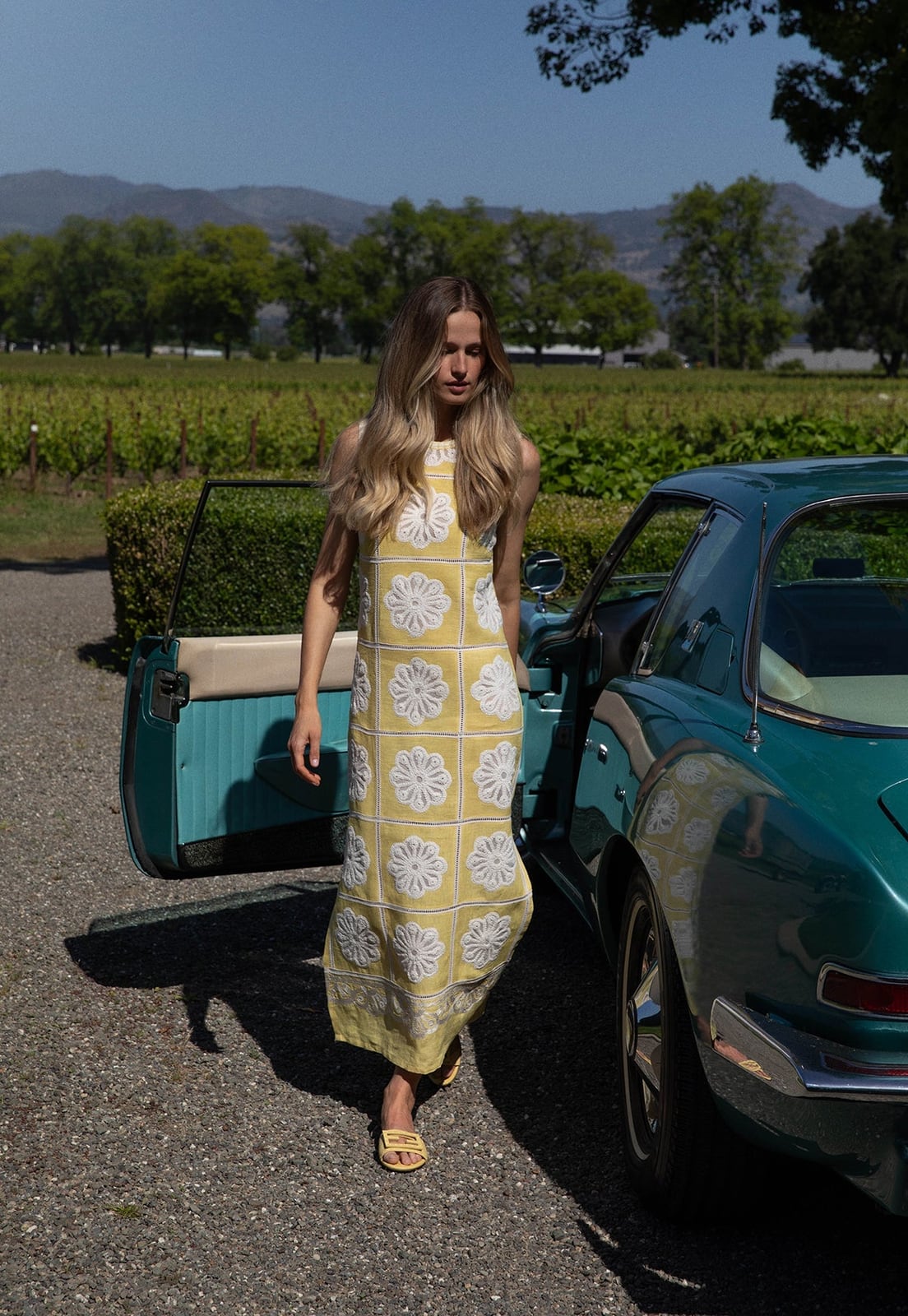 Dandelion Ava Maxi Dress ASHA by Ashley McCormick