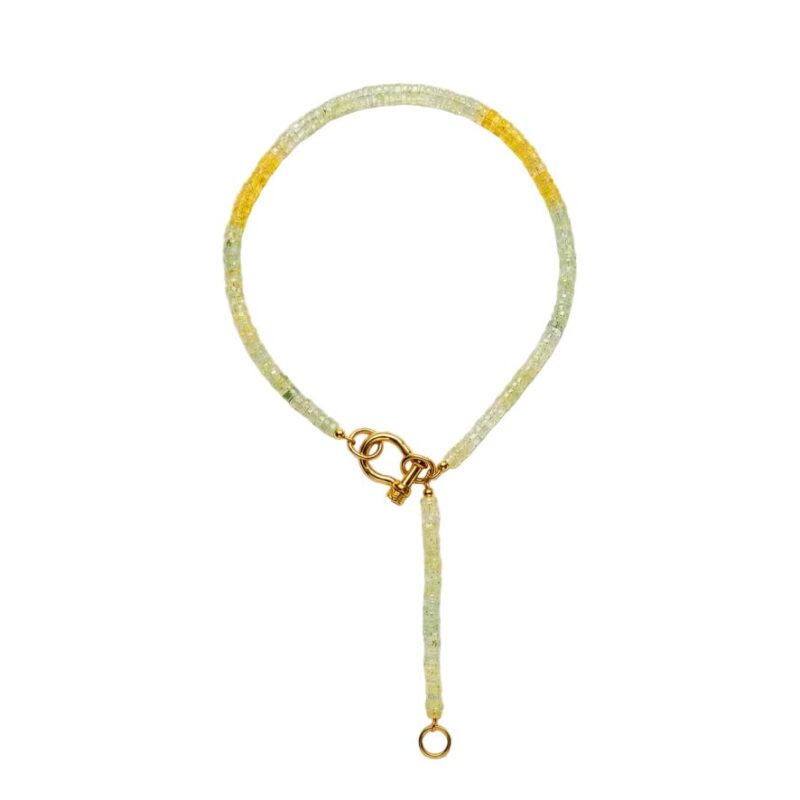 Lemon Lariat Spicy Dan