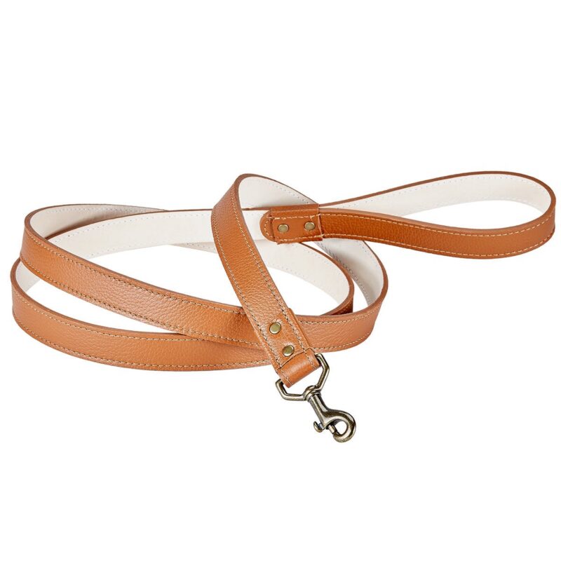 Pebble Grain Leather Dog Leash Graphic Image