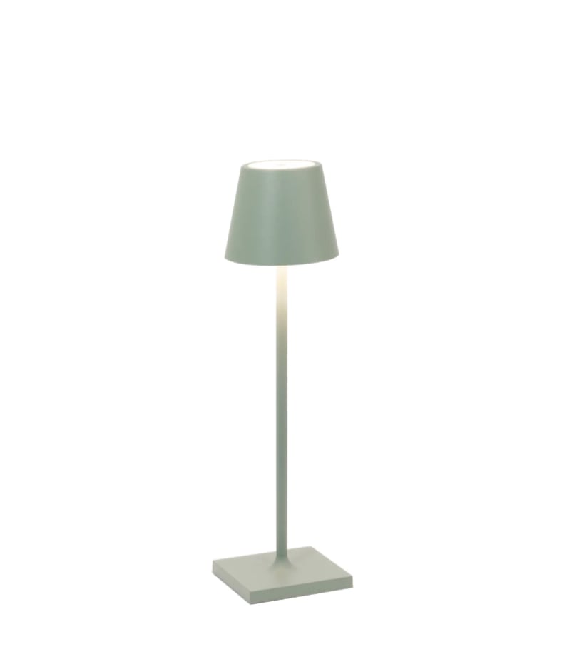 Poldina Pro Micro Zafferano