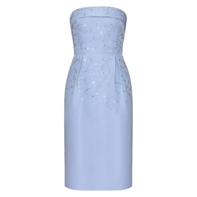 The Celine Dress Danarys New York