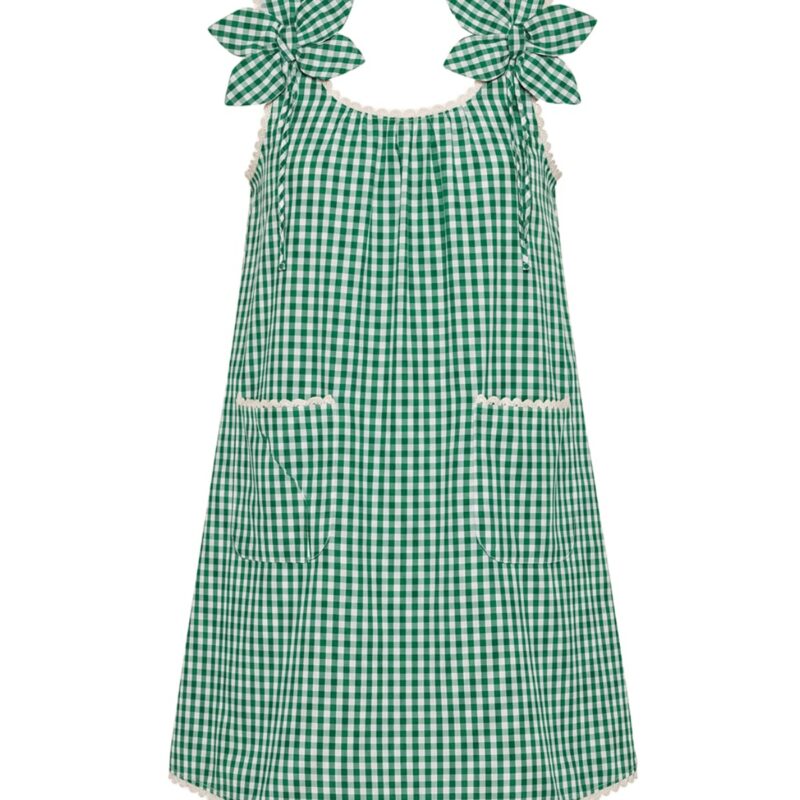 Vanessa Mini Dress in Meadow Gingham EDDY