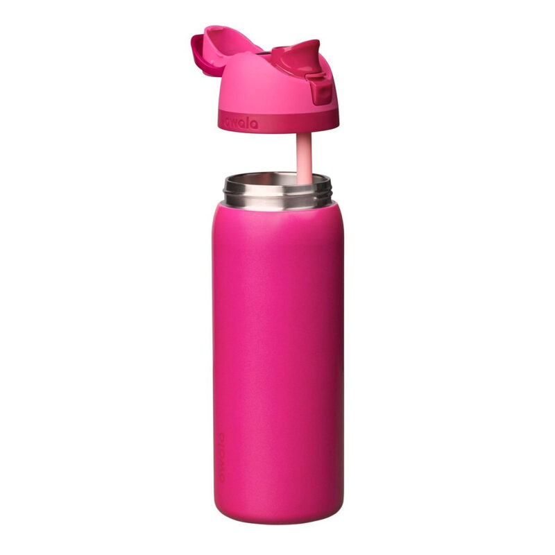 Owala 32oz FreeSip Stainless Steel Water Bottle - Read My Lips