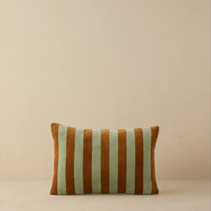 Panetta Velvet Pillow