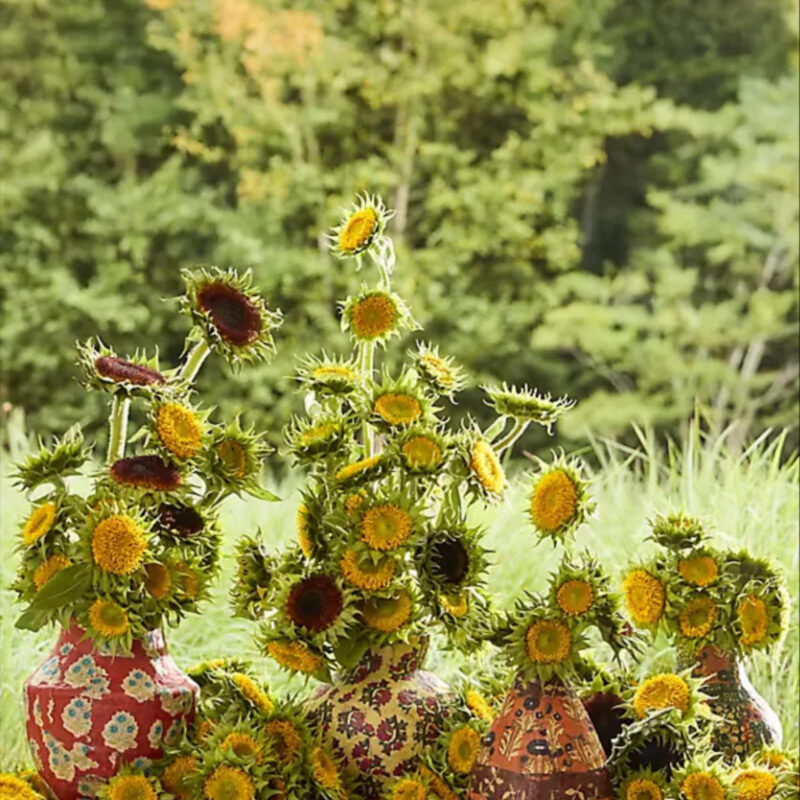 Patterned Papier Mache Bud Vase, Oranges + Greens at Terrain