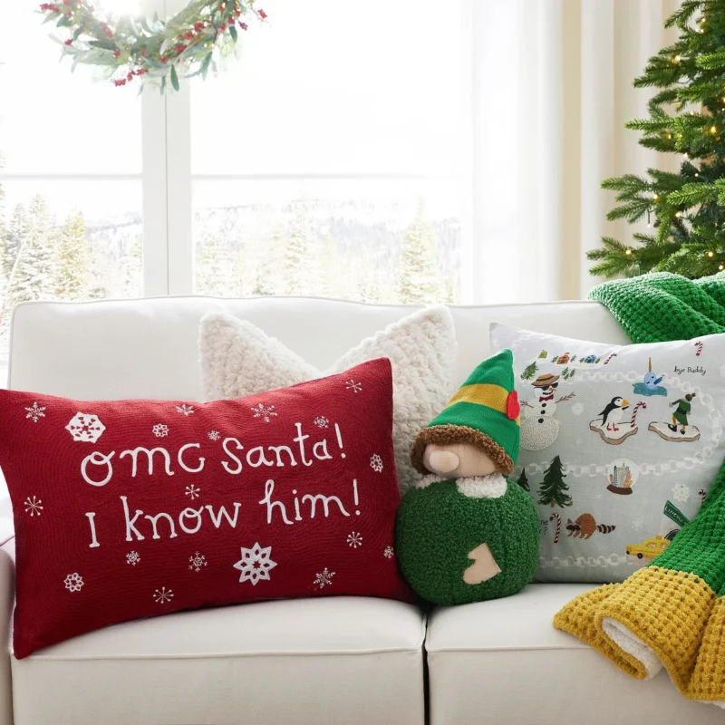 OMG Santa! I Know Him! Elf™ Pillow Cover