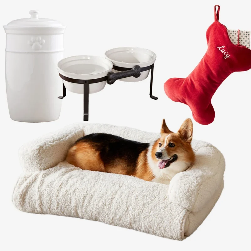 Build-Your-Own Dog Lover Gift Set