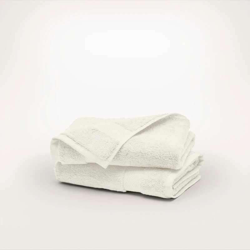 Plush Hand Towels (Pair)
