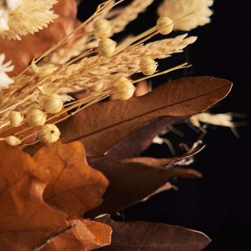 Preserved Maple + Ammobium Wreath