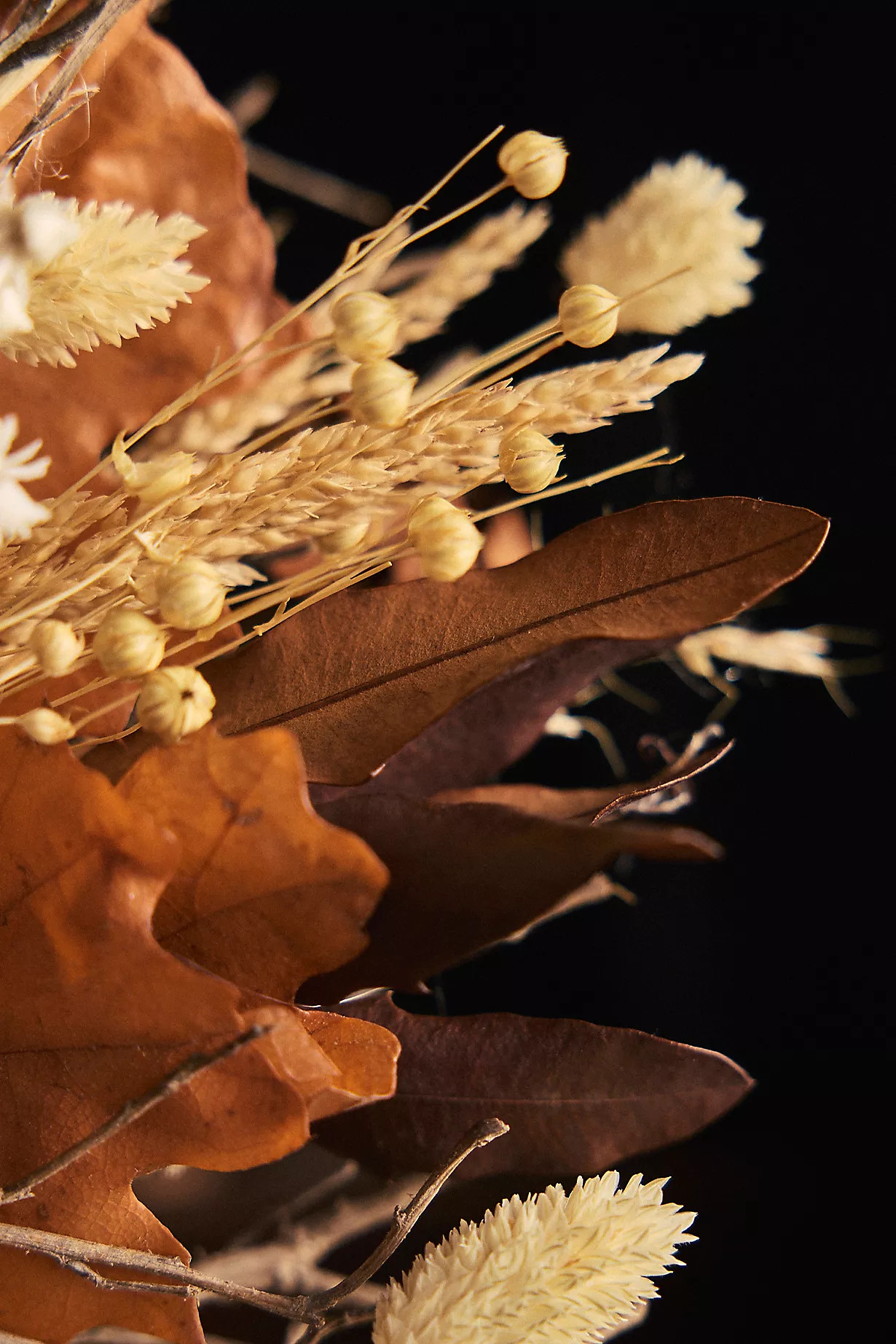 Preserved Maple + Ammobium Wreath