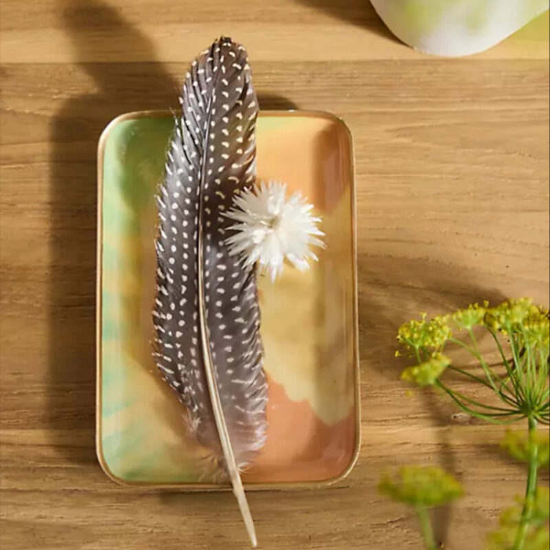 Printed Archival Tray, Extra, Size: Small at Terrain