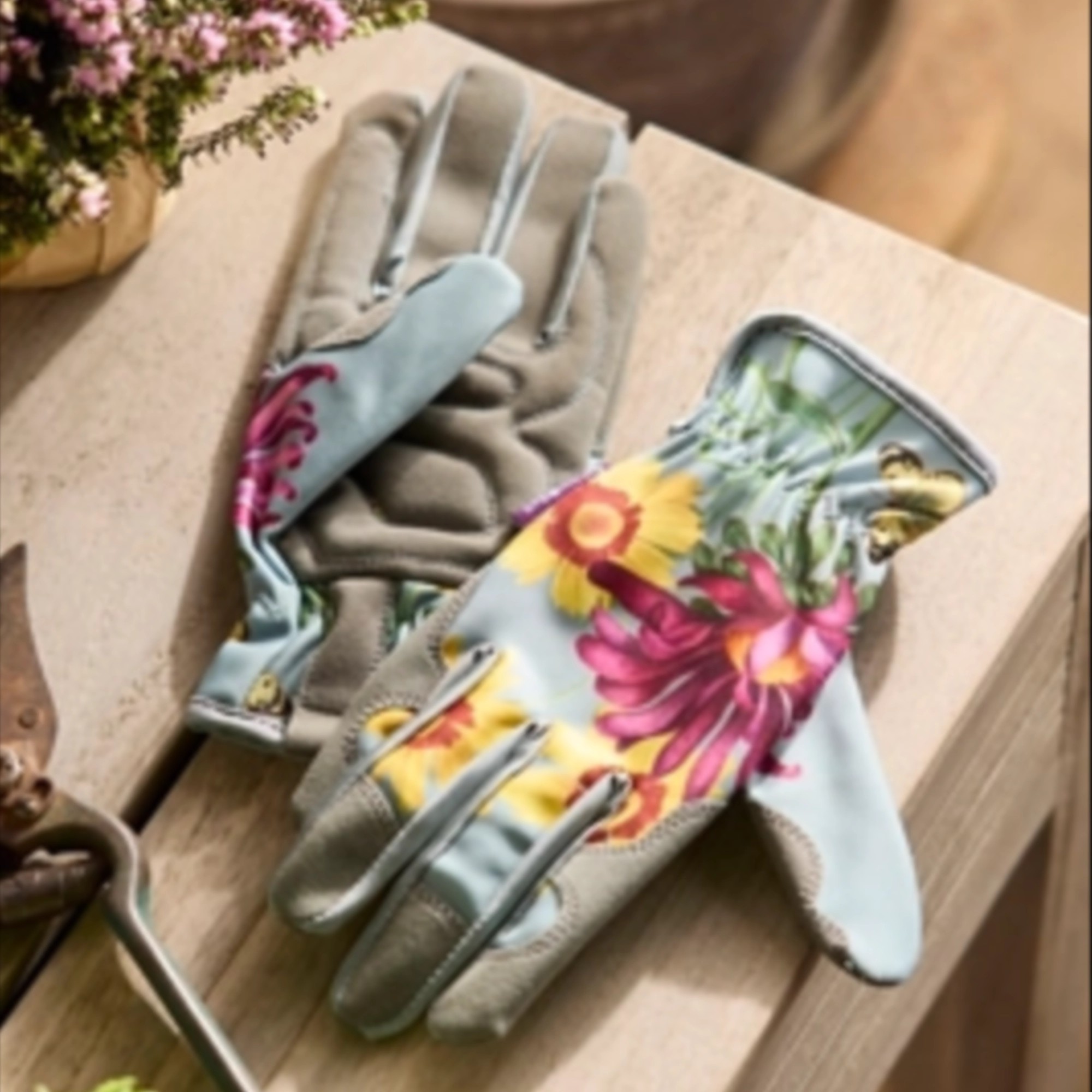 RHS Asteraceae Garden Gloves