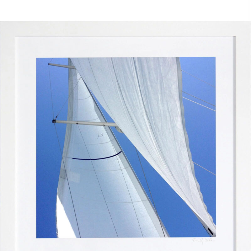 Serena & Lily Sail by Emily Baker