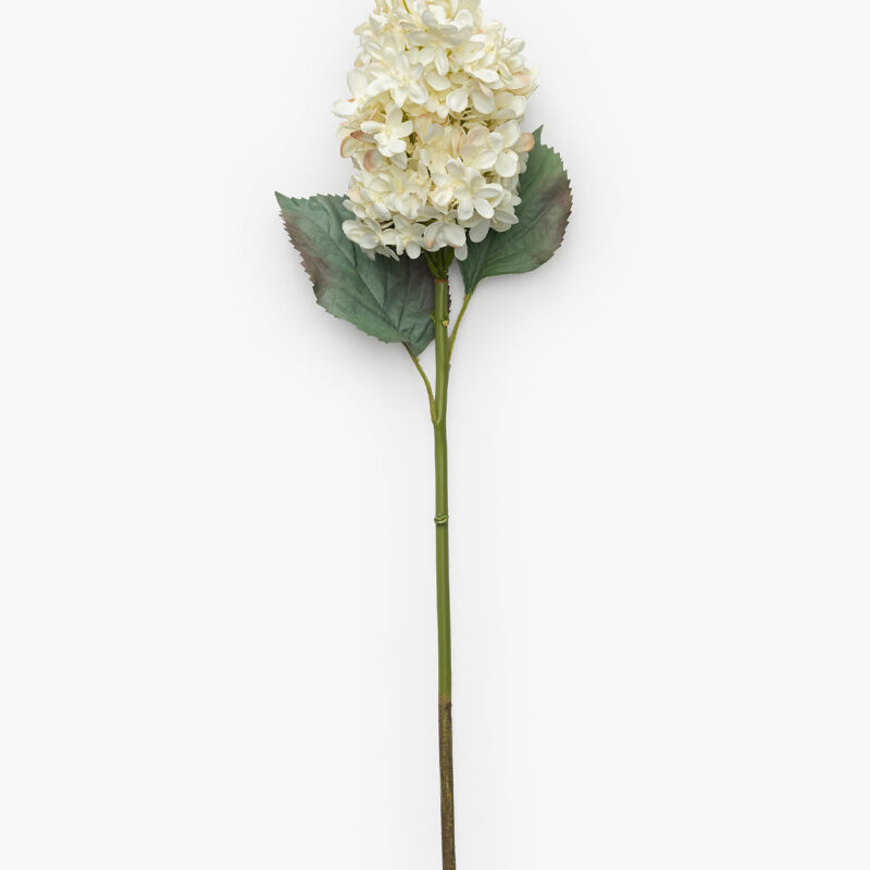 21" Cream Hydrangea McGee & Co
